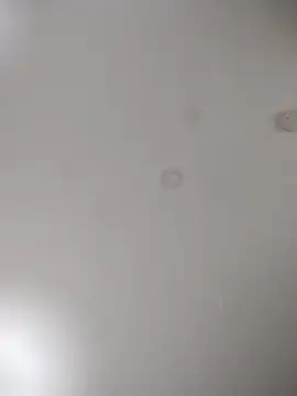 geilerschwanz64 online show from 10.24.25