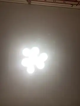 Janet Welder online show from 11.16.25