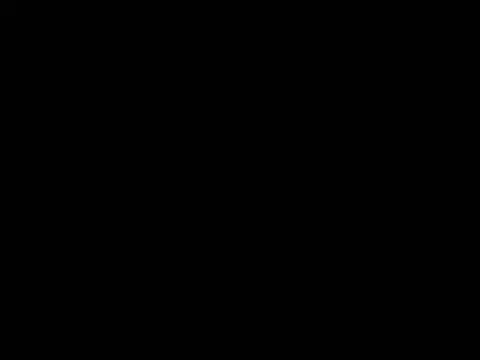 torilux online show from 12.18.24