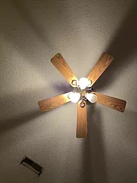 torilux online show from 02.28.25