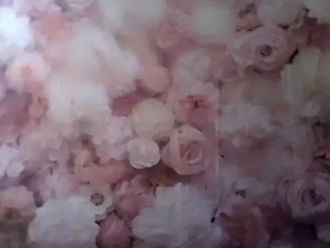 Snapshot of camiliaskye chatting on 12.31.24 camiliaskye online show from 12.31.24