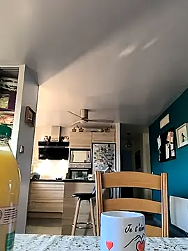 bogland33 online show from 11.22.25