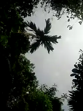 Snapshot of kumaricapalsex2 chatting on 01.26.25 kumaricapalsex2 online show from 01.26.25