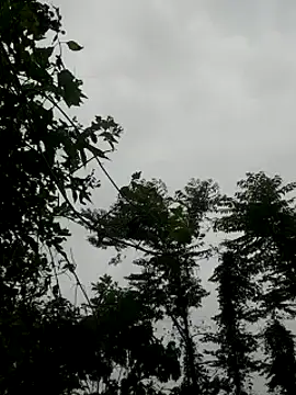 Snapshot of kumaricapalsex2 chatting on 01.27.25 kumaricapalsex2 online show from 01.27.25