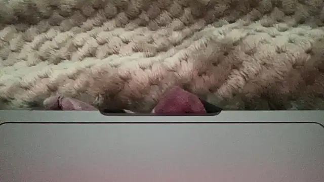 Snapshot of thick_n_hard chatting on 12.14.24 thick n hard online show from 12.14.24