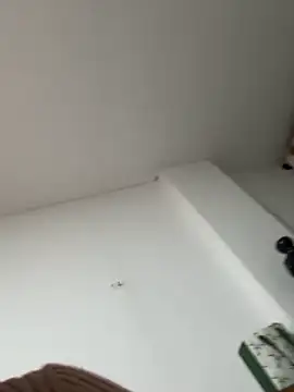 siri duque online show from 01.07.26