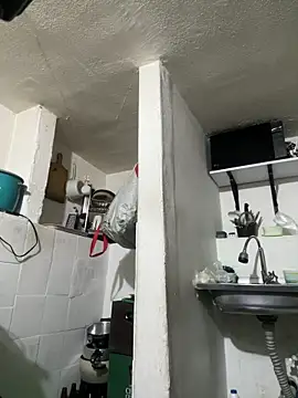 siri duque online show from 04.11.26