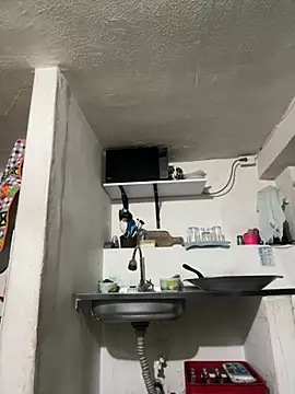 siri duque online show from 04.20.26