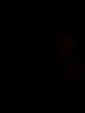 stevenp online show from 11.02.25