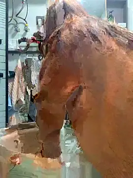 Aimeil online show from 11.18.25