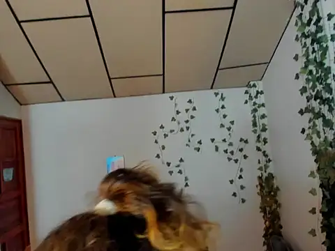 fulfill fantasies1 online show from 02.17.26