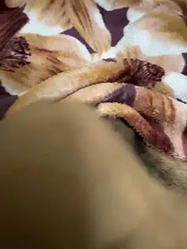 Snapshot of hamed-697 chatting on 12.16.24 hamed-697 online show from 12.16.24