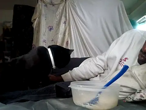 Snapshot of DevinToore chatting on 12.15.25 DevinToore online show from 12.15.25