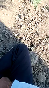 dickerdaddy25 online show from 02.18.25