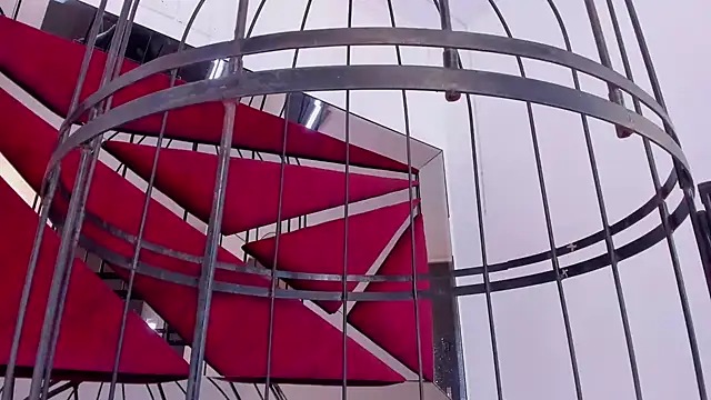 GiaFu online show from 01.25.25