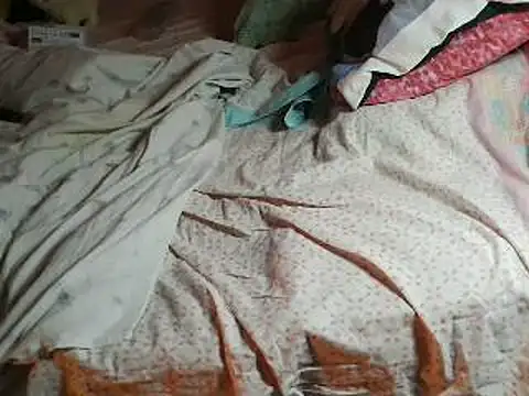 VeneRed online show from 04.11.26