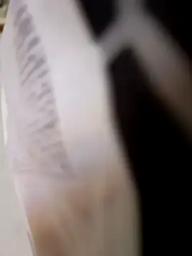 Snapshot of 403notfound chatting on 09.25.25 403notfound online show from 09.25.25