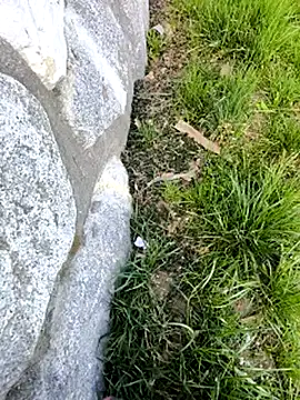 Snapshot of DrownMentallyyy chatting on 03.22.25 DrownMentallyyy online show from 03.22.25