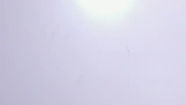 Violet Grace online show from 02.17.25