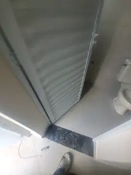 janjuniior online show from 12.16.25