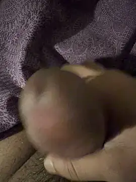 BigAddress0 online show from 02.23.26