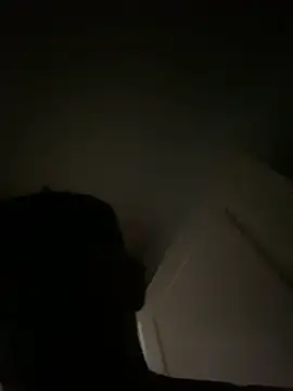 Snapshot of LCarreraa chatting on 01.30.25 LCarreraa online show from 01.30.25