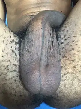 the bigwc online show from 12.13.24