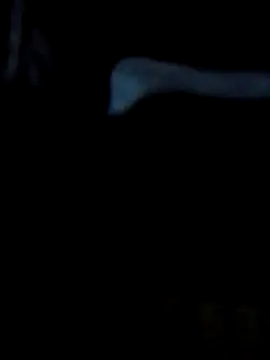 Antor1234 online show from 02.23.25