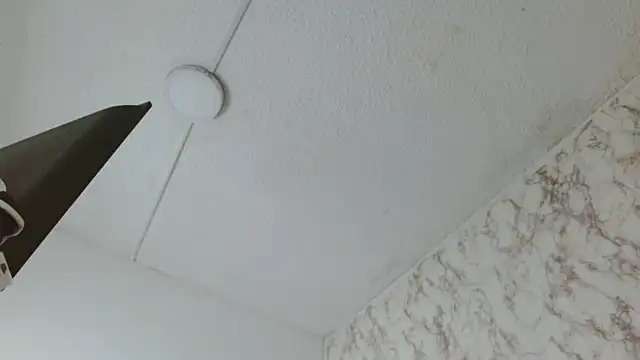 Snapshot of AlexaFontana chatting on 02.14.26 AlexaFontana online show from 02.14.26