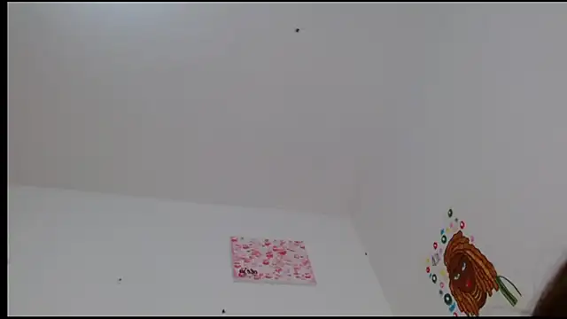 Snapshot of kity__ chatting on 02.24.25 kity   online show from 02.24.25