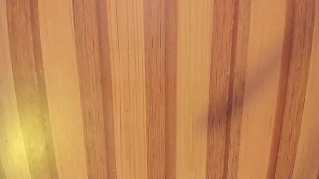 Snapshot of Taylor__cooper chatting on 11.15.25 Taylor cooper online show from 11.15.25