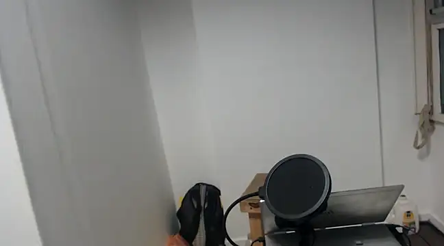 Mastertopdome online show from 02.04.25