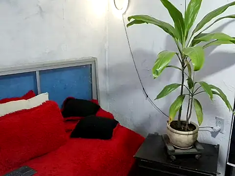 bellacrespalatina online show from 03.17.26