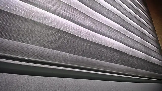 Snapshot of palmer_mIix chatting on 12.23.24 palmer mIix online show from 12.23.24