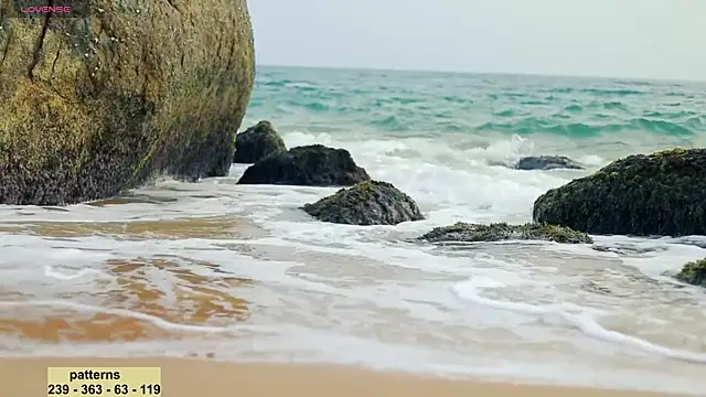  sex in paradise  online show from 01.20.25