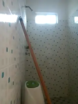 wolf james123 online show from 04.15.26