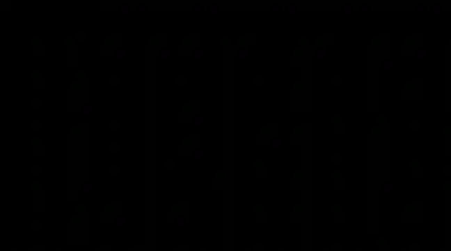 paladerler online show from 12.13.24