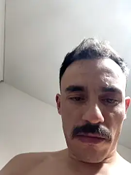 paladerler online show from 02.13.26