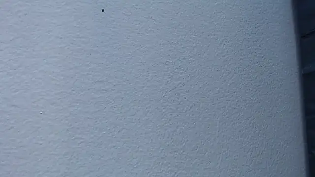 Hanna Fox 69 online show from 02.15.25