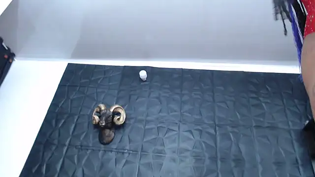 Hanna Fox 69 online show from 03.15.25