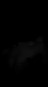 Snapshot of Deniell-01 chatting on 03.19.25 Deniell-01 online show from 03.19.25