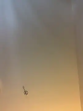 themasteer69 online show from 02.03.26