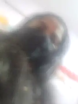 sana14 online show from 02.27.25