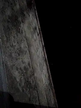 sana14 online show from 03.01.25