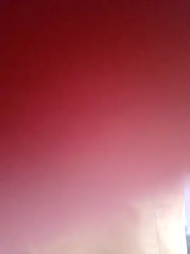 sana14 online show from 03.14.25