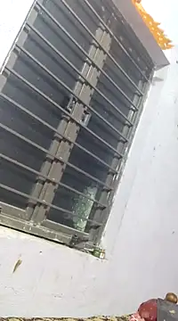 sana14 online show from 03.17.25