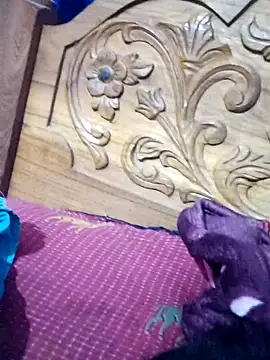 sana14 online show from 03.10.26