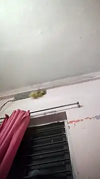 sana14 online show from 04.08.26