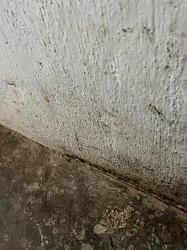 Snapshot of tamil000000 chatting on 11.03.25 tamil000000 online show from 11.03.25