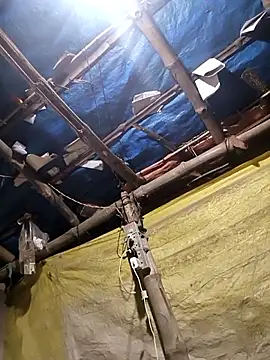 Gyan88 online show from 03.09.26